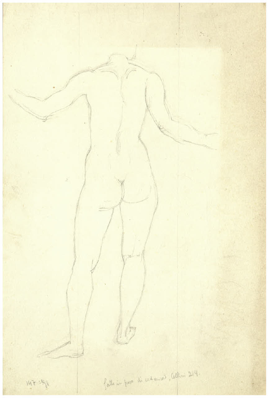 Nudo femminile di spalle (disegno) di Disertori, Benvenuto Maria (prima metà sec. XX)
