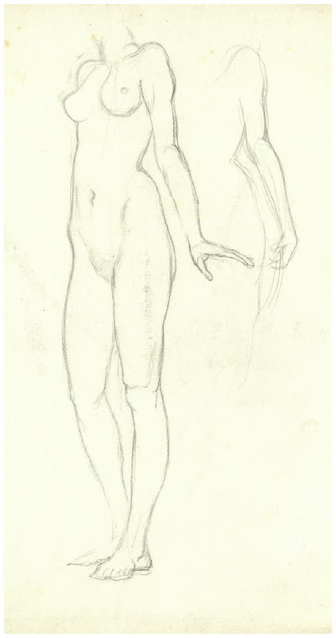 Nudo femminile, studio di nudo (disegno) di Disertori, Benvenuto Maria (prima metà sec. XX)