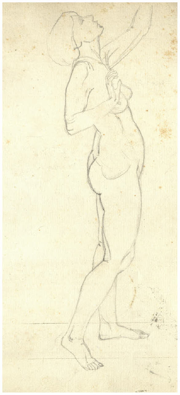 Nudo femminile (disegno) di Disertori, Benvenuto Maria (prima metà sec. XX)