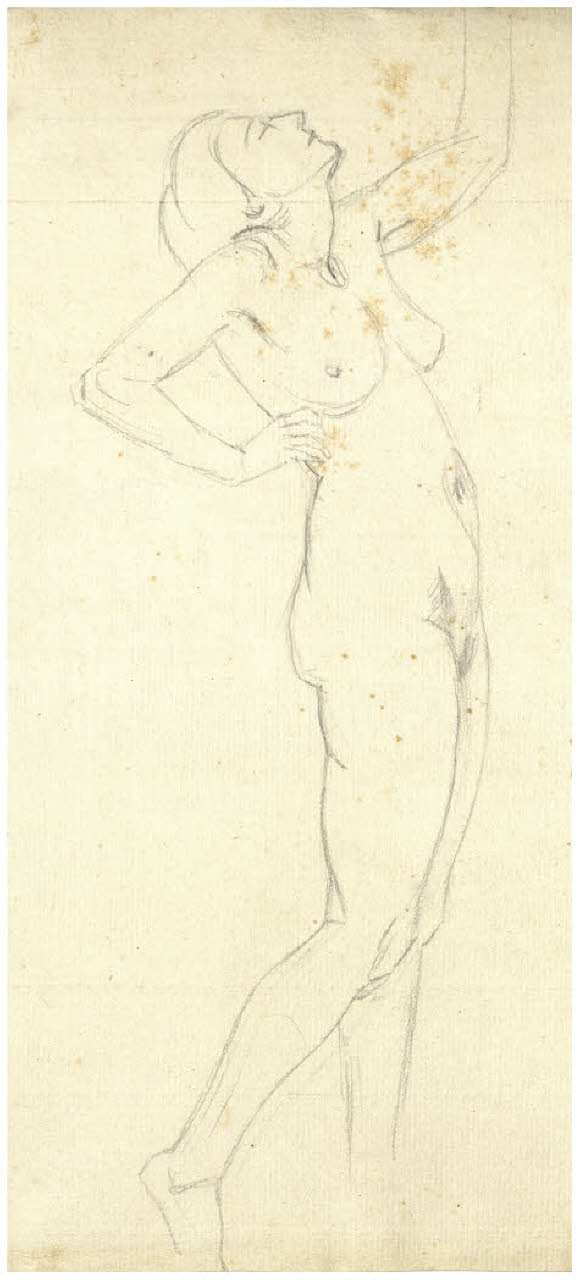 Nudo femminile (disegno) di Disertori, Benvenuto Maria (prima metà sec. XX)