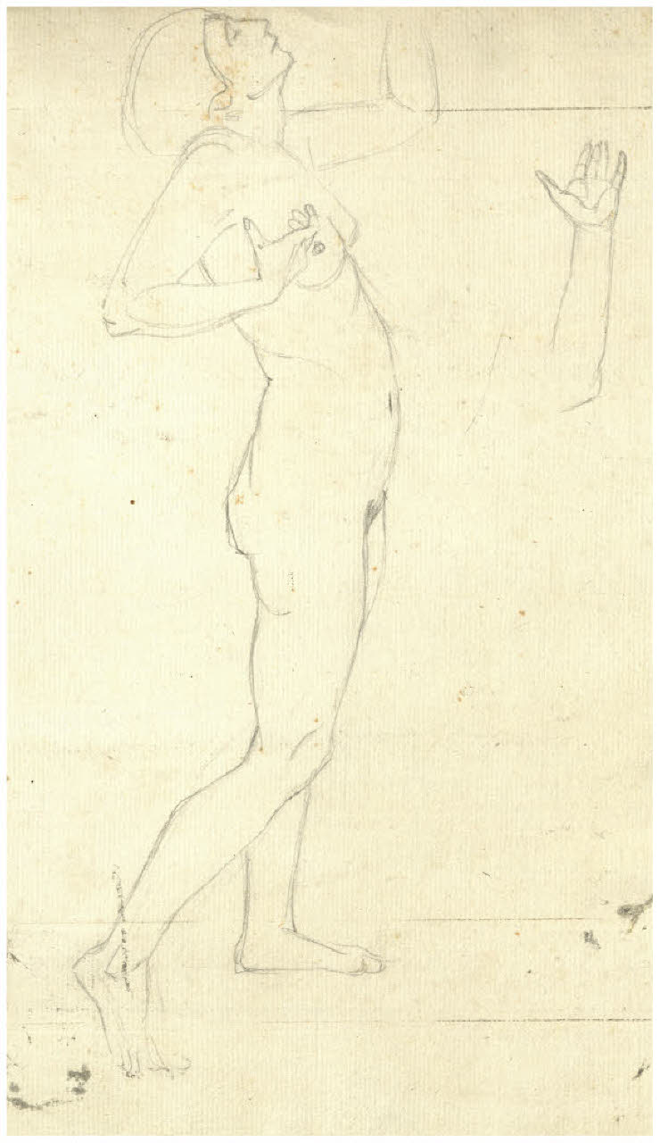 Studio di nudo femminile (disegno) di Disertori, Benvenuto Maria (prima metà sec. XX)