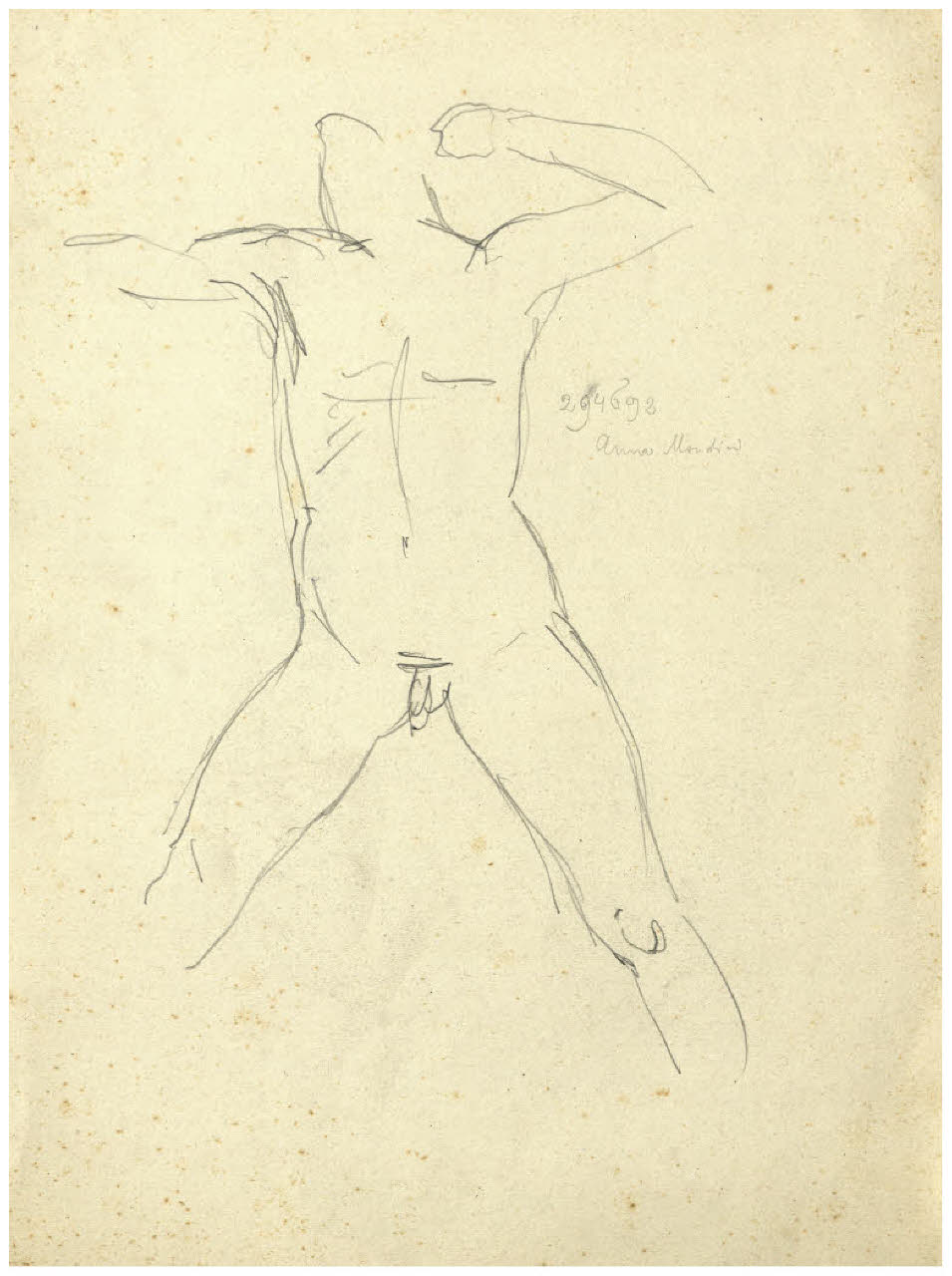 Studio di nudo maschile (disegno) di Disertori, Benvenuto Maria (sec. XX)