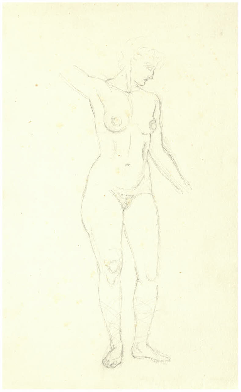 Nudo femminile (disegno) di Disertori, Benvenuto Maria (prima metà sec. XX)