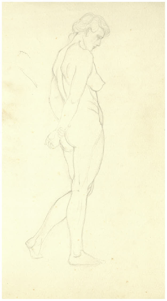 Nudo femminile (disegno) di Disertori, Benvenuto Maria (prima metà sec. XX)