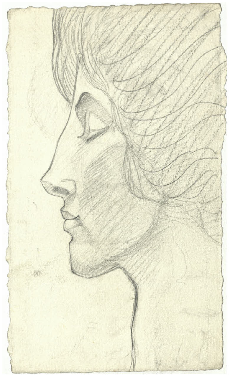 Volto femminile di profilo (disegno) di Disertori, Benvenuto Maria (sec. XX)