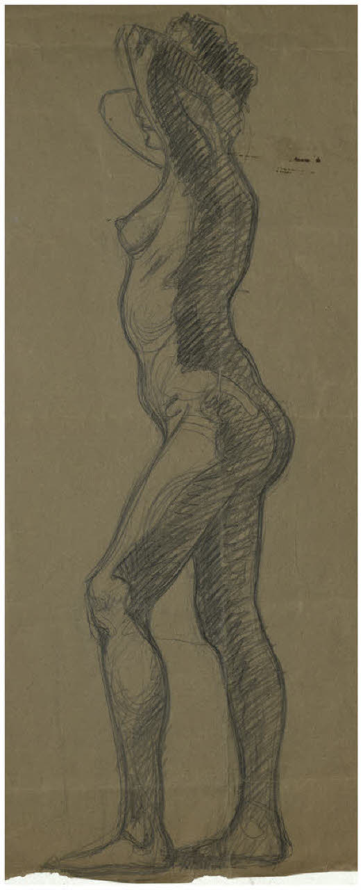 Nudo femminile (disegno) di Disertori, Benvenuto Maria (prima metà sec. XX)