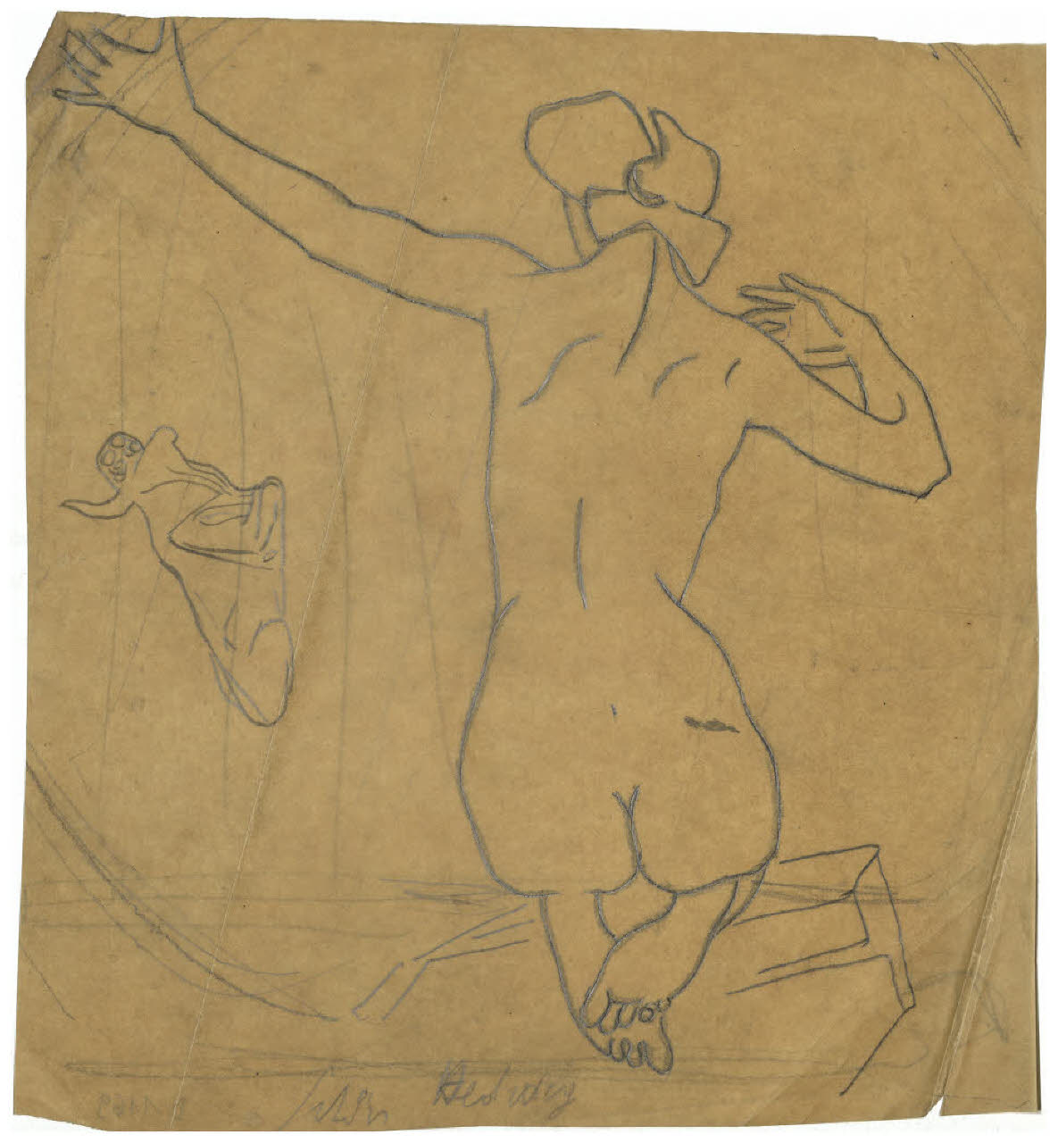 Studio di nudo femminile di spalle, studio di toro (disegno) di Disertori, Benvenuto Maria (prima metà sec. XX)