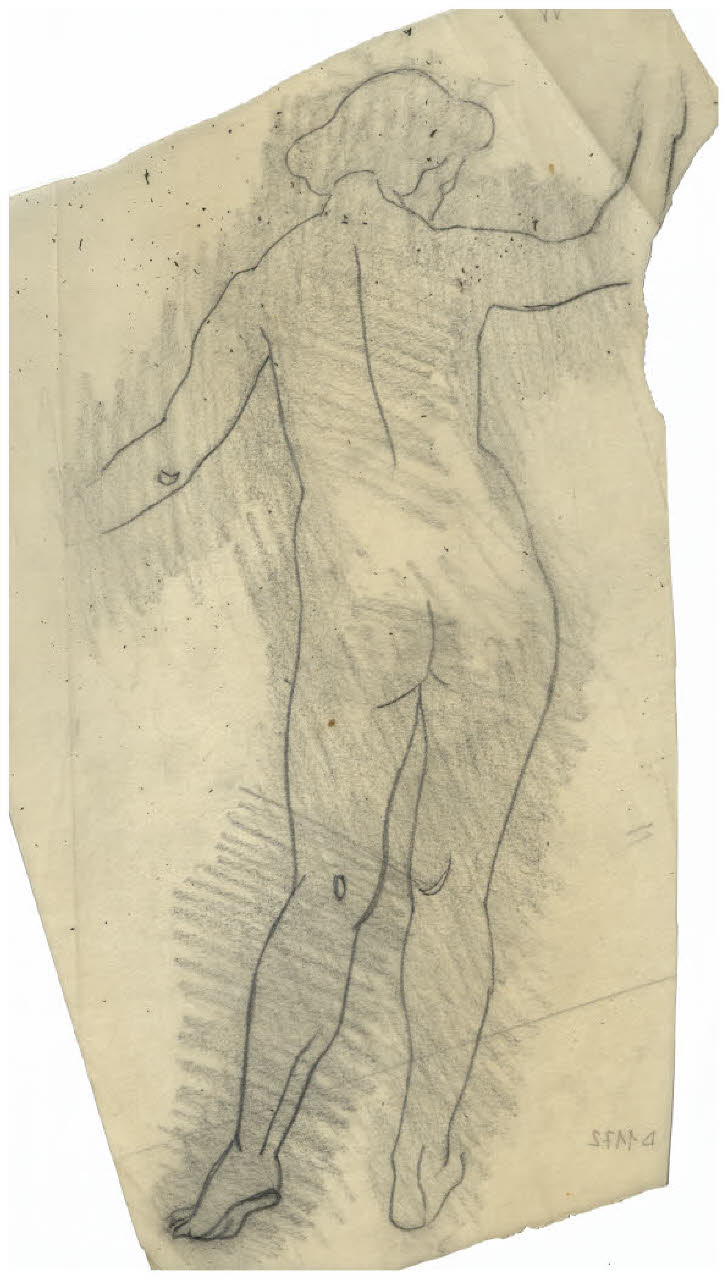 Studio di nudo femminile di spalle (disegno) di Disertori, Benvenuto Maria (sec. XX)