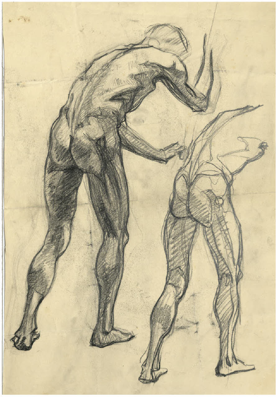 Due studi di nudo maschile di spalle (disegno) di Disertori, Benvenuto Maria (prima metà sec. XX)