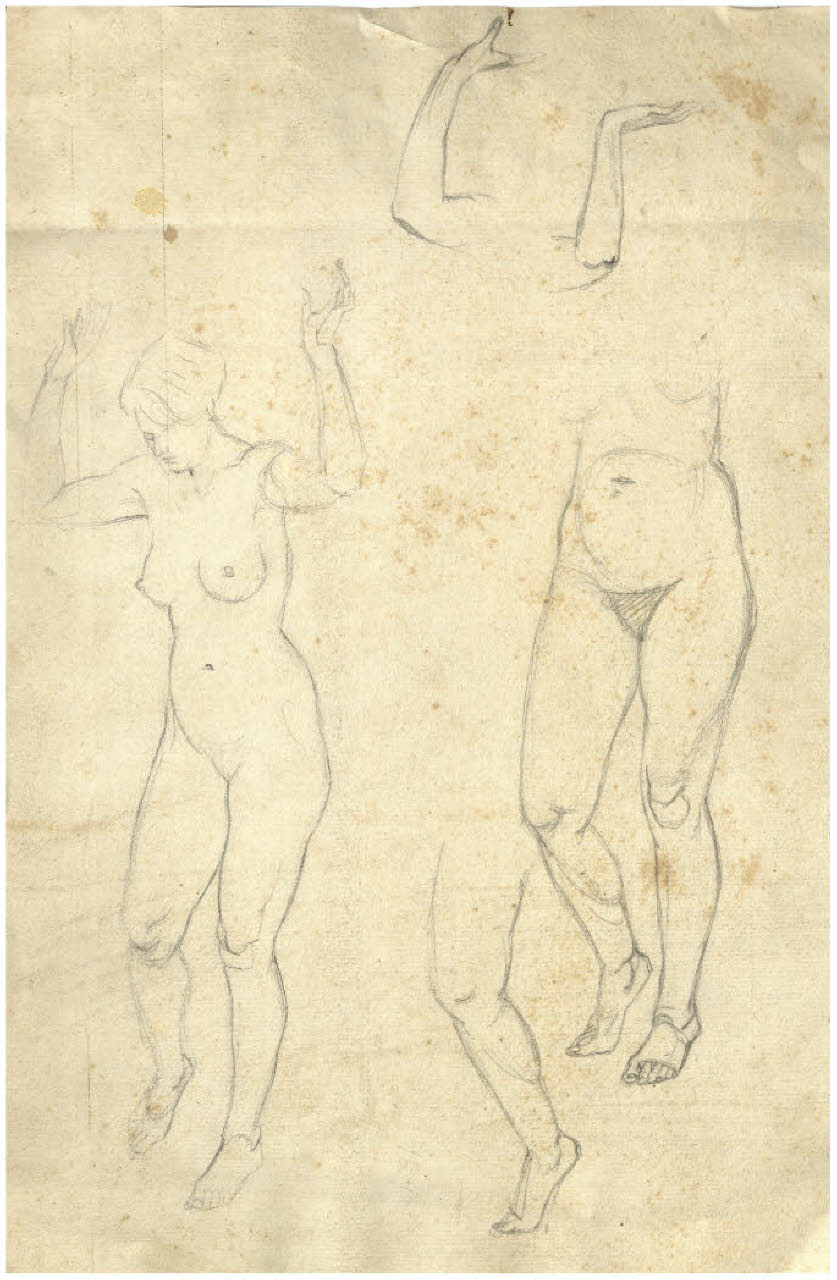 Studi di nudo femminile (disegno) di Disertori, Benvenuto Maria (prima metà sec. XX)