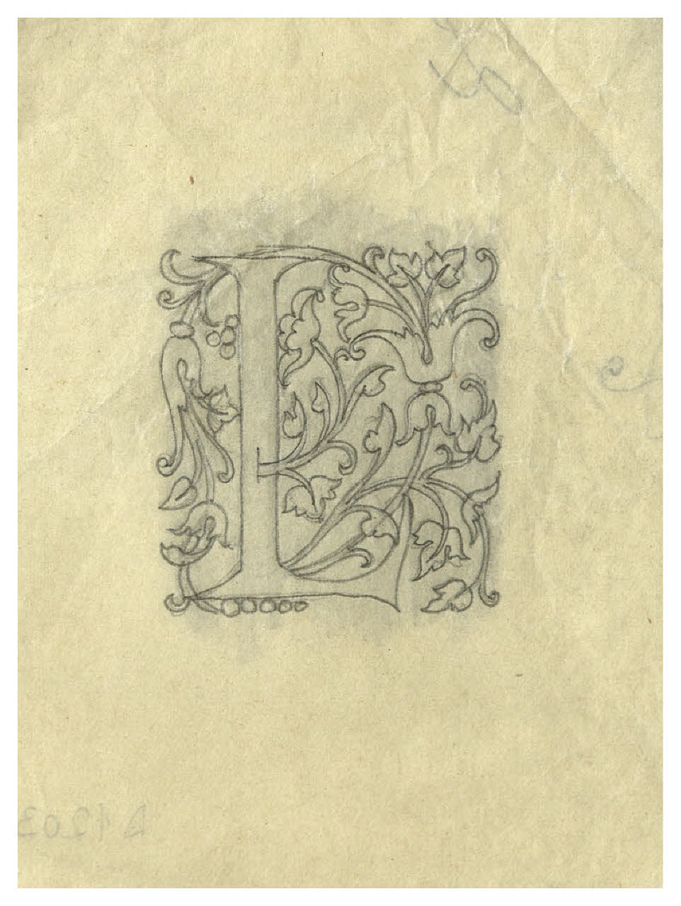 Lettera L. Disegno preparatorio per iniziale decorata (disegno) di Disertori, Benvenuto Maria (prima metà sec. XX)