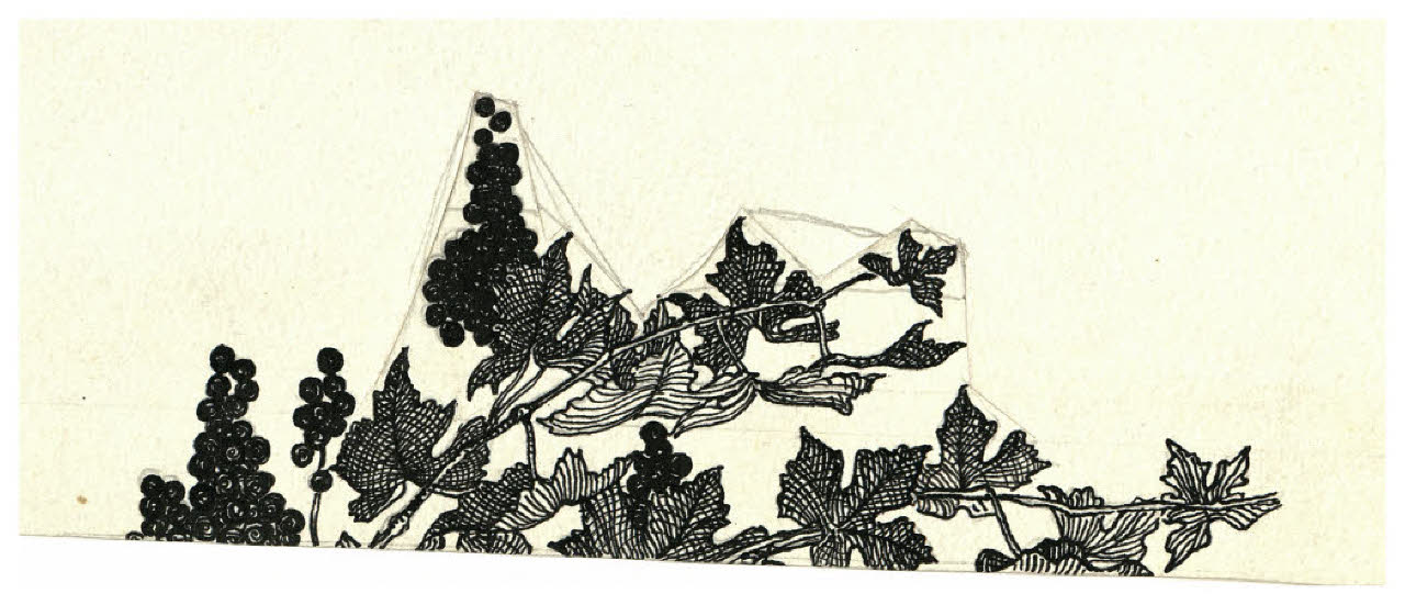 Tralcio di vite (disegno preparatorio per l'acquaforte Veduta con tralci di vite) (disegno) di Disertori, Benvenuto Maria (sec. XX)