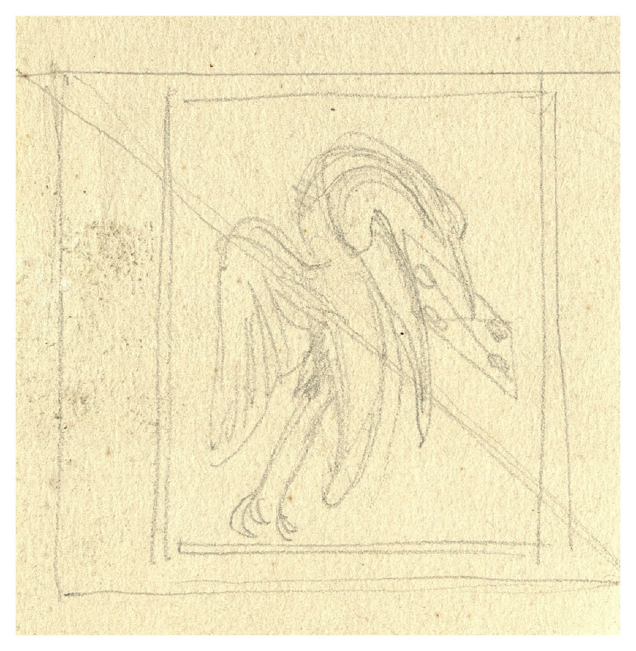 Cicogna (disegno) di Disertori, Benvenuto Maria (prima metà sec. XX)