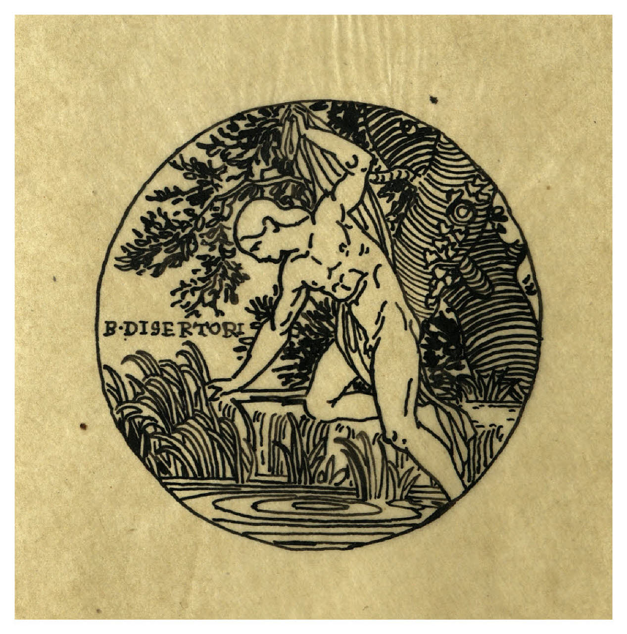 Narciso. Studio per illustrazione (disegno) di Disertori, Benvenuto Maria (prima metà sec. XX)