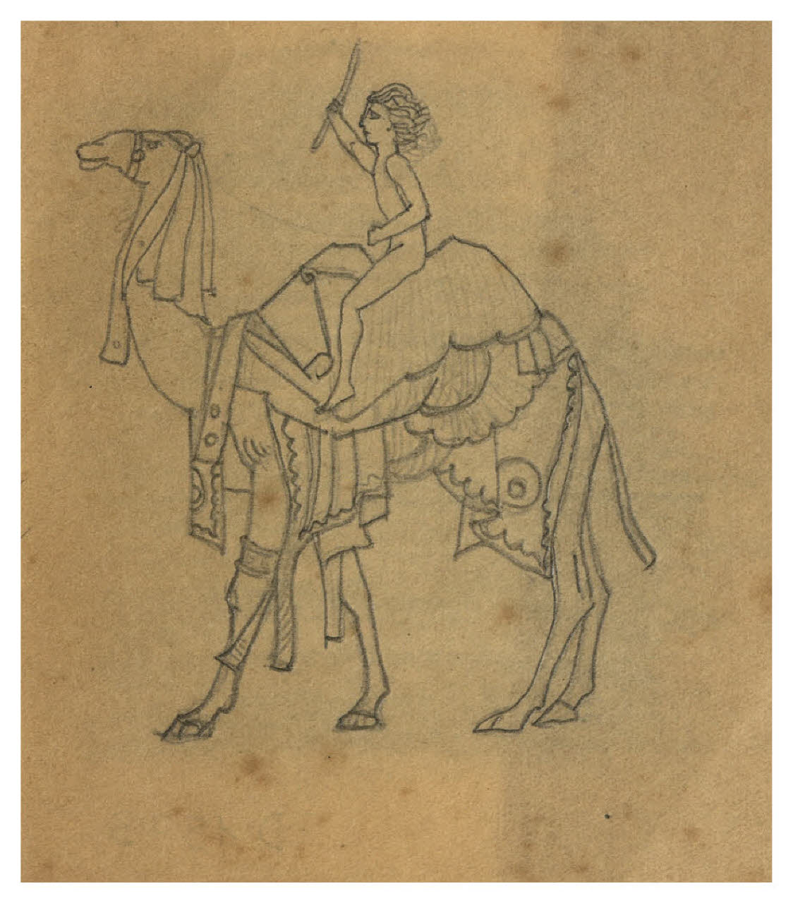 Cammelliere. Studio per illustrazione (disegno) di Disertori, Benvenuto Maria (prima metà sec. XX)