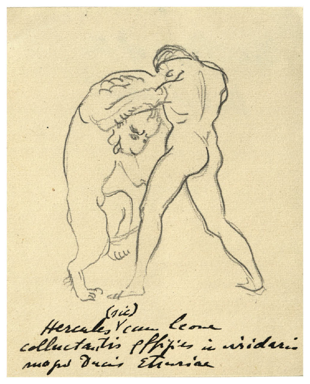 Ercole e il leone di Nemea (disegno) di Disertori, Benvenuto Maria (prima metà sec. XX)