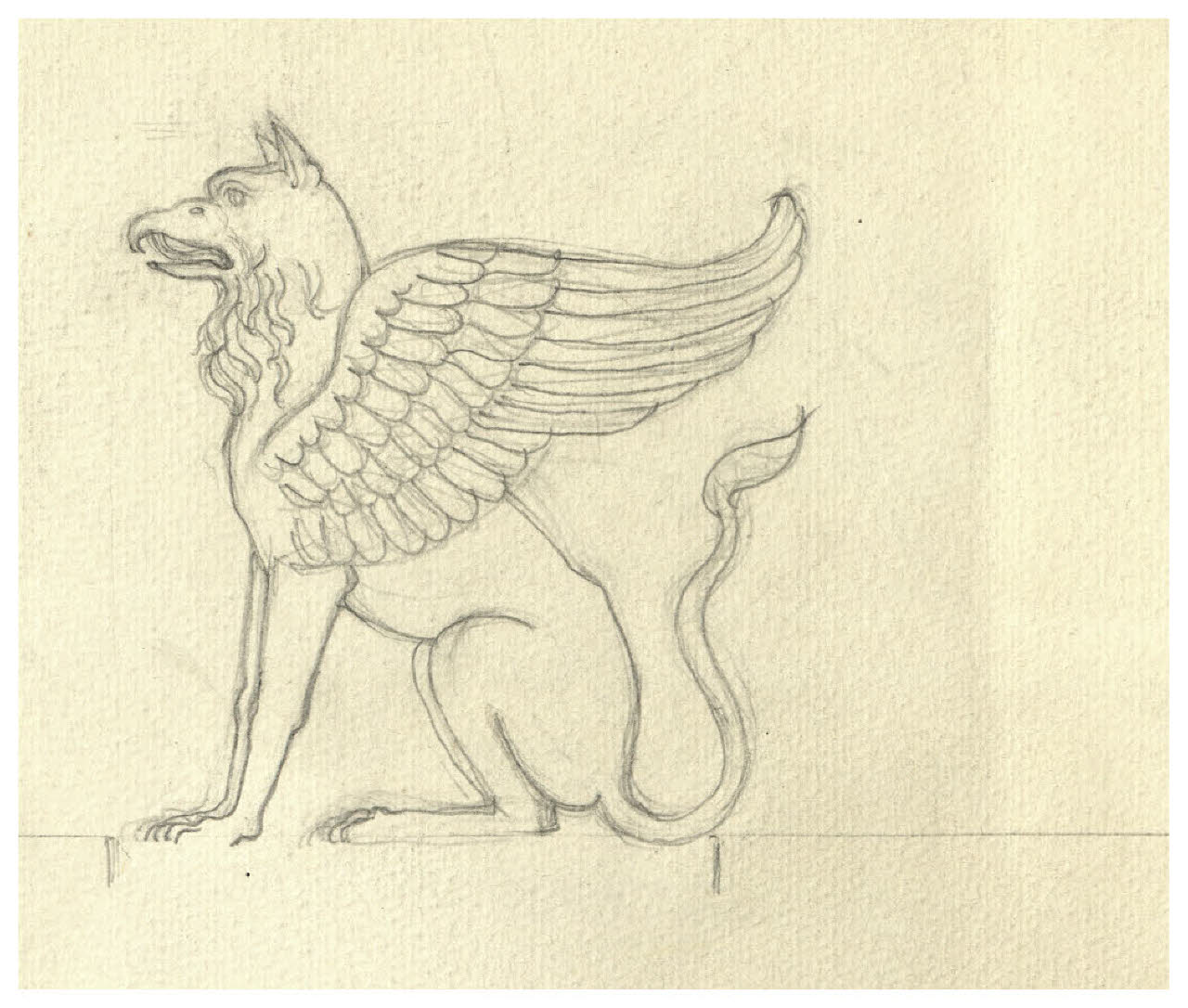 Grifone. Studio per illustrazione (disegno) di Disertori, Benvenuto Maria (prima metà sec. XX)