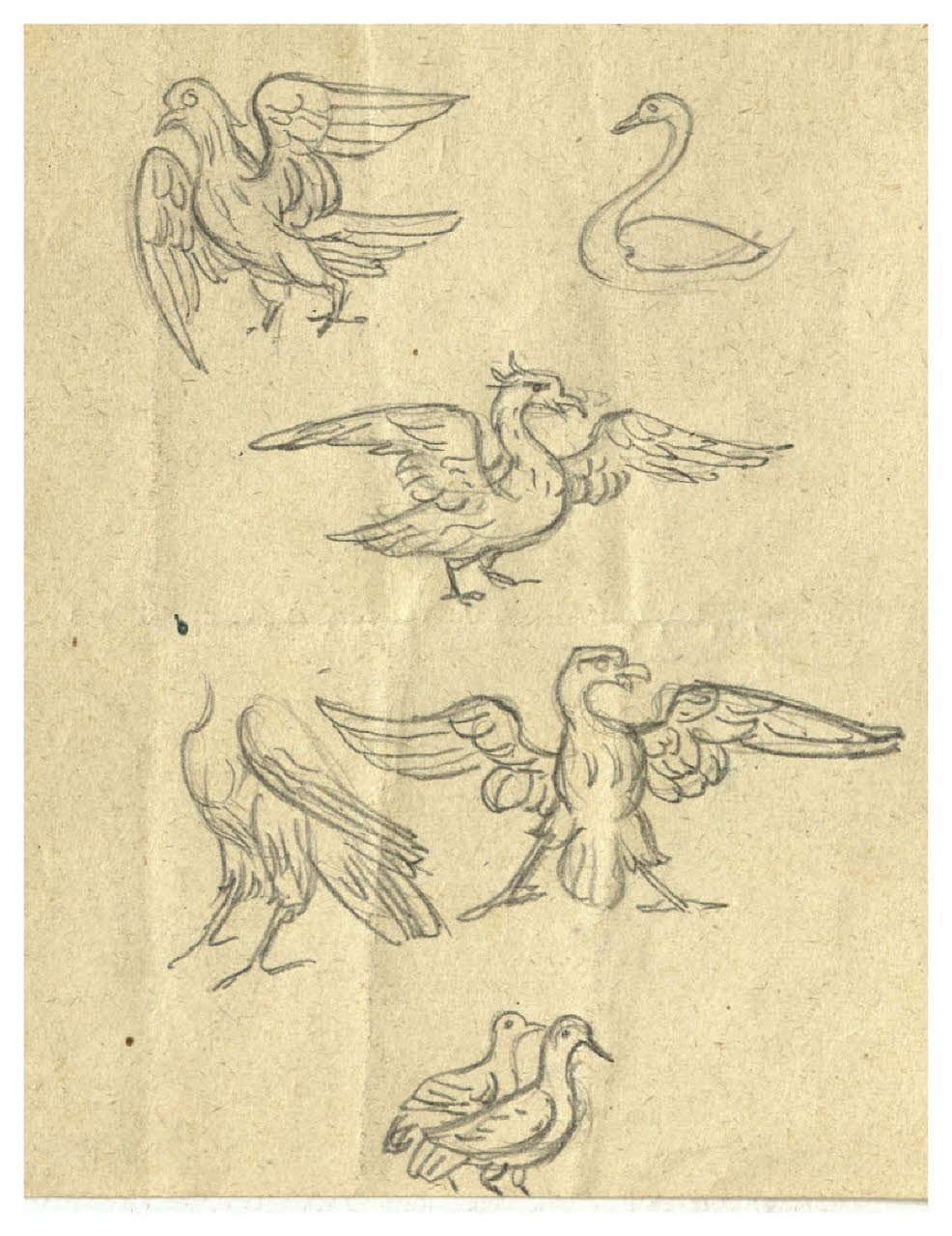 Foglio di studio con repertorio di uccelli (disegno) di Disertori, Benvenuto Maria (prima metà sec. XX)