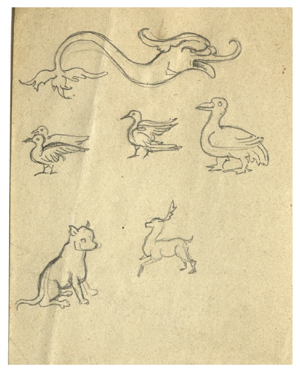 Foglio di studio con repertorio di animali (disegno) di Disertori, Benvenuto Maria (prima metà sec. XX)