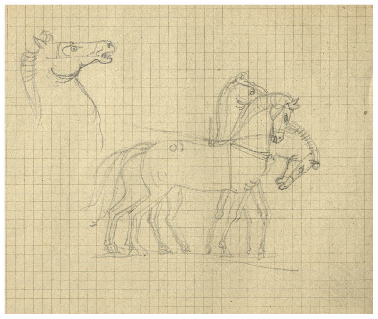 Cavalli di una quadriga (disegno) di Disertori, Benvenuto Maria (prima metà sec. XX)