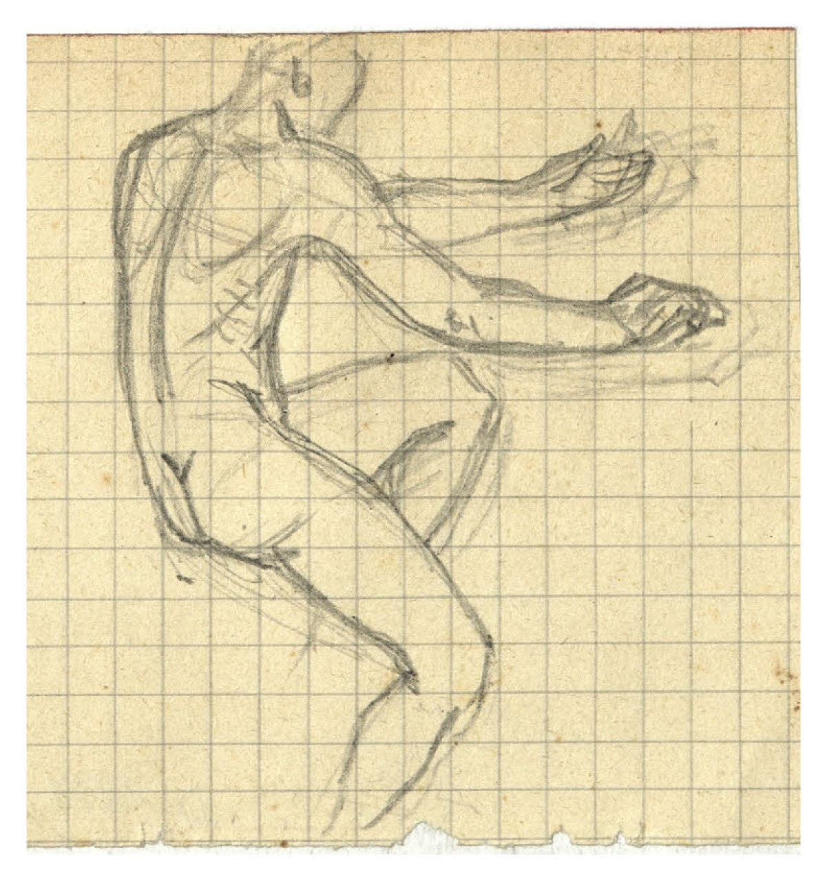 Studio di nudo maschile seduto (disegno) di Disertori, Benvenuto Maria (prima metà sec. XX)