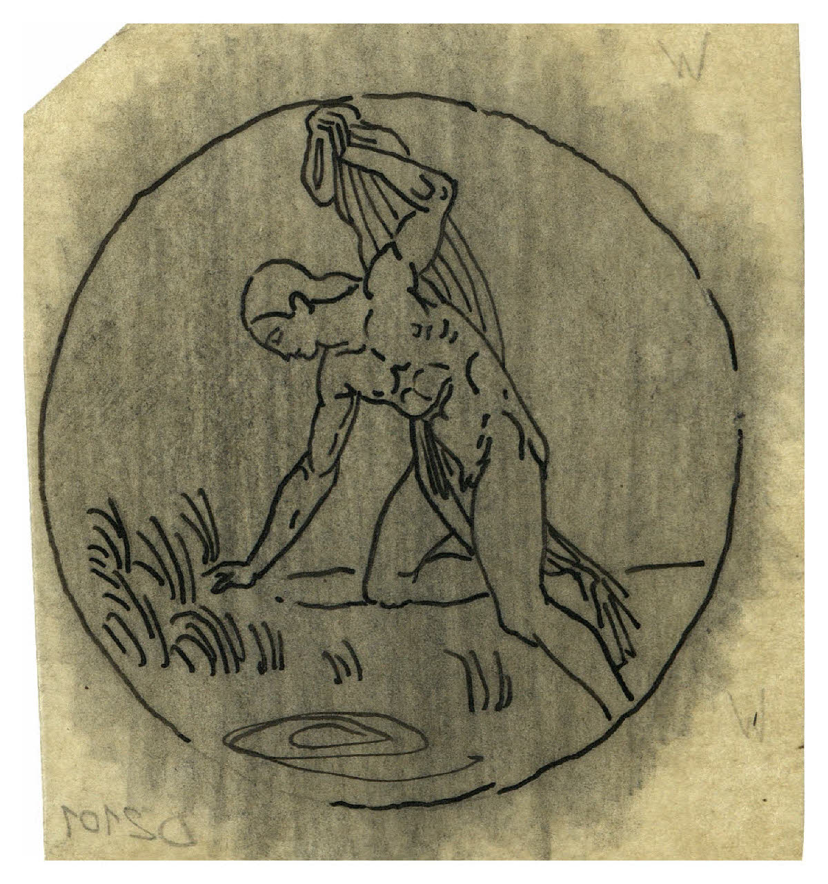 Narciso. Studio per illustrazione (disegno) di Disertori, Benvenuto Maria (prima metà sec. XX)