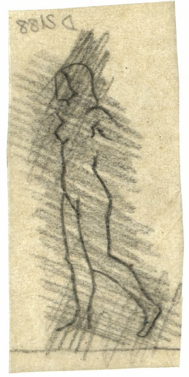 Nudo femminile (disegno) di Disertori, Benvenuto Maria (prima metà sec. XX)