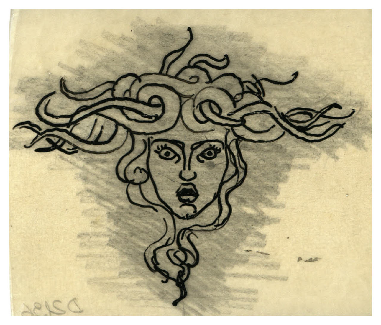 Testa di Medusa. Studio per illustrazione (disegno) di Disertori, Benvenuto Maria (sec. XX)