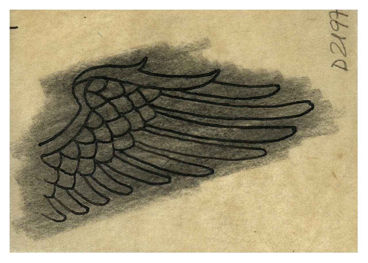 Ala (disegno) di Disertori, Benvenuto Maria (prima metà sec. XX)