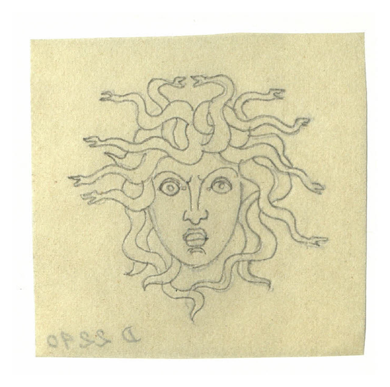 Testa di Medusa. Studio per illustrazione (disegno) di Disertori, Benvenuto Maria (sec. XX)