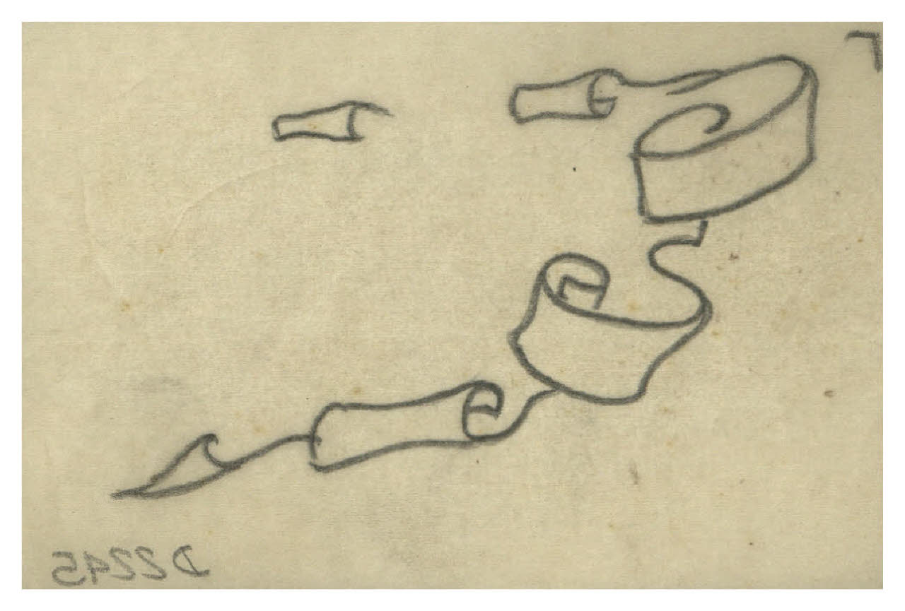 Arriccio di un cartiglio, frammento (disegno) di Disertori, Benvenuto Maria (prima metà sec. XX)