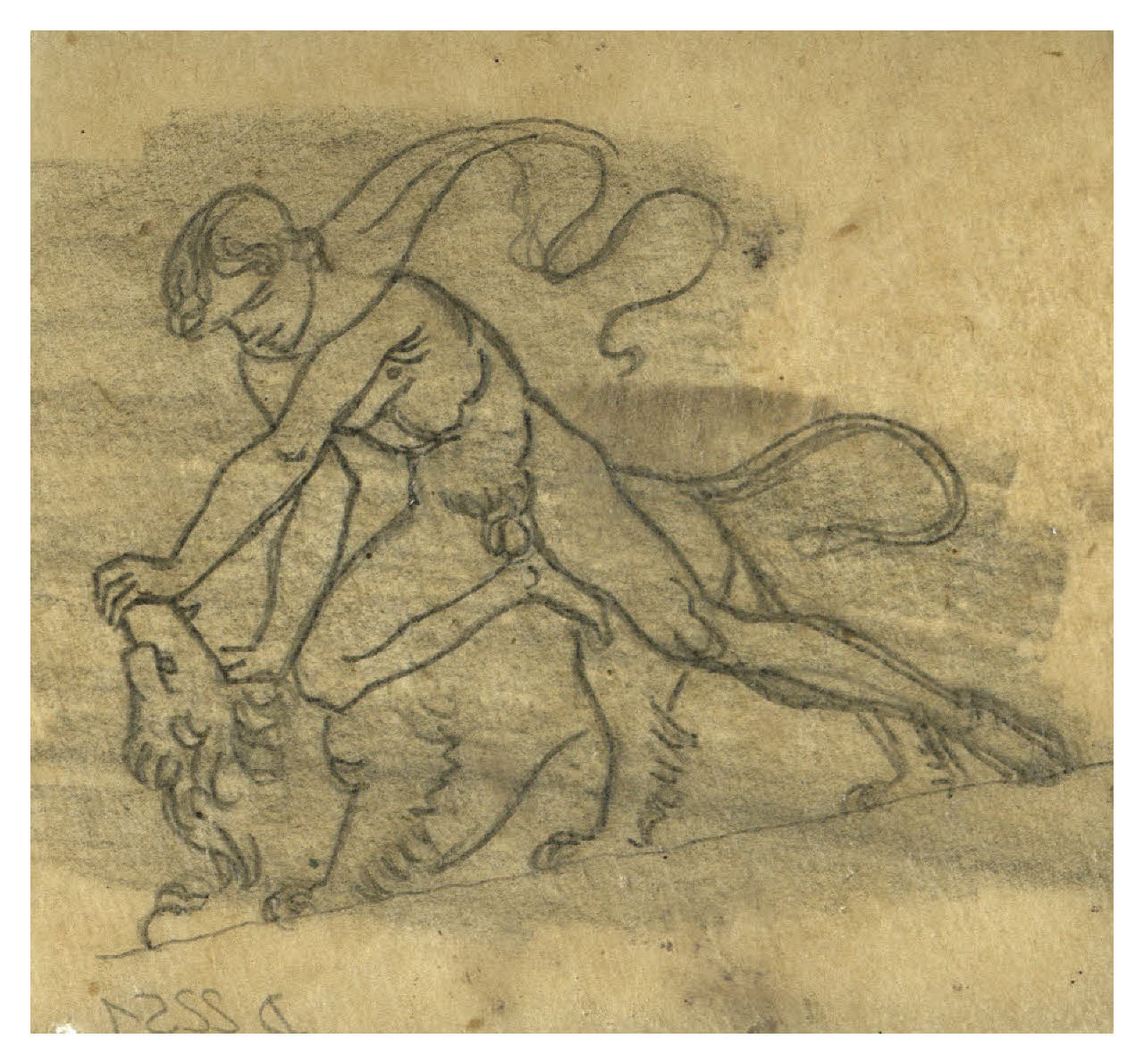 Ercole uccide il leone nemeo (disegno) di Disertori, Benvenuto Maria (prima metà sec. XX)