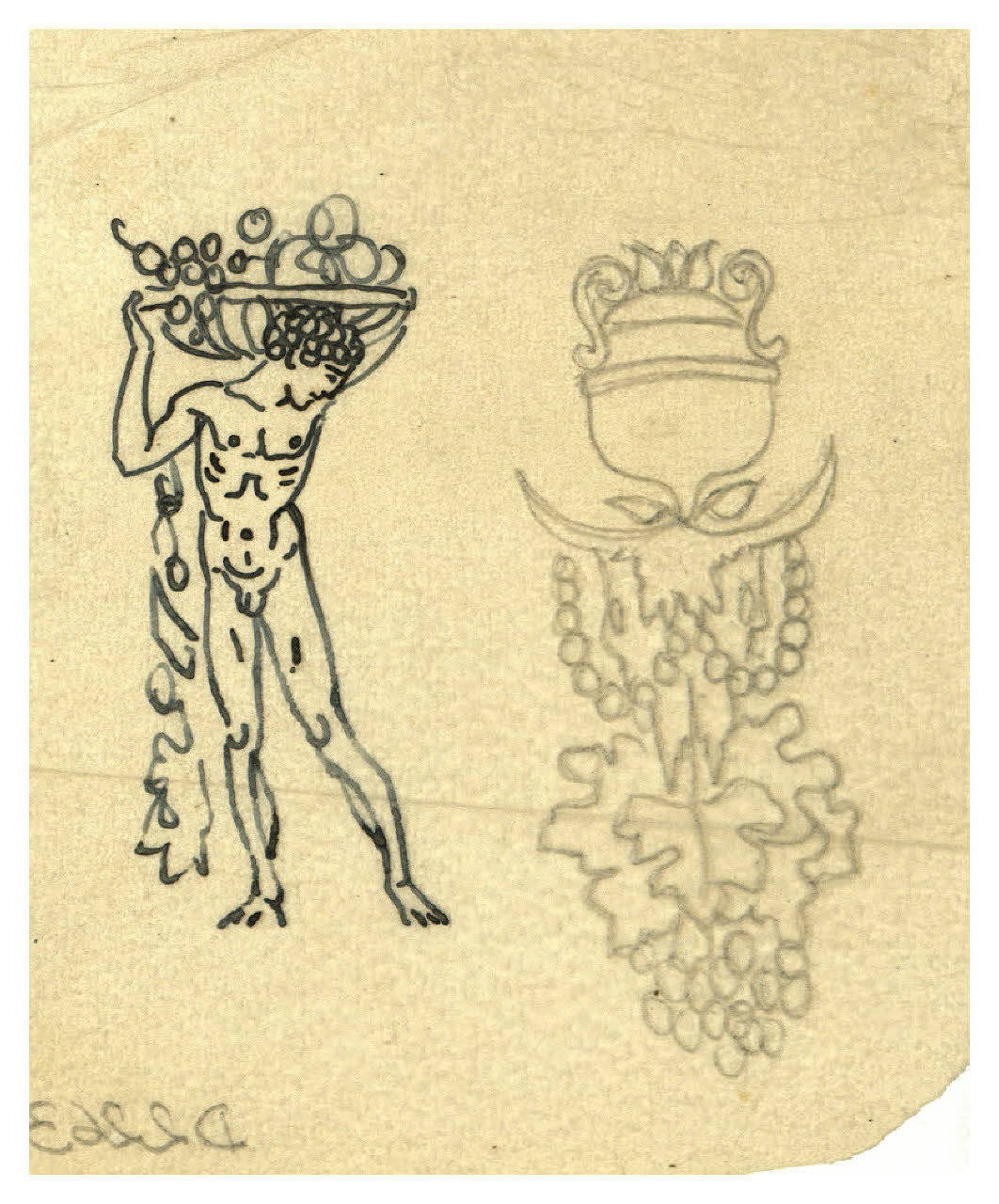 Nudo maschile; Motivo decorativo con bucranio. Disegno preparatorio per la cornice di un menu (disegno) di Disertori, Benvenuto Maria (prima metà sec. XX)