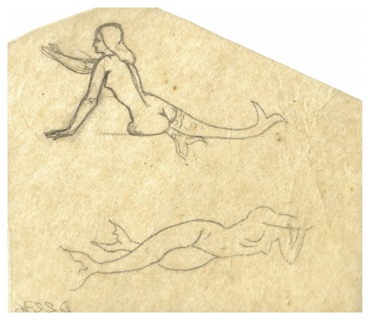 Due sirene (disegno) di Disertori, Benvenuto Maria (prima metà sec. XX)