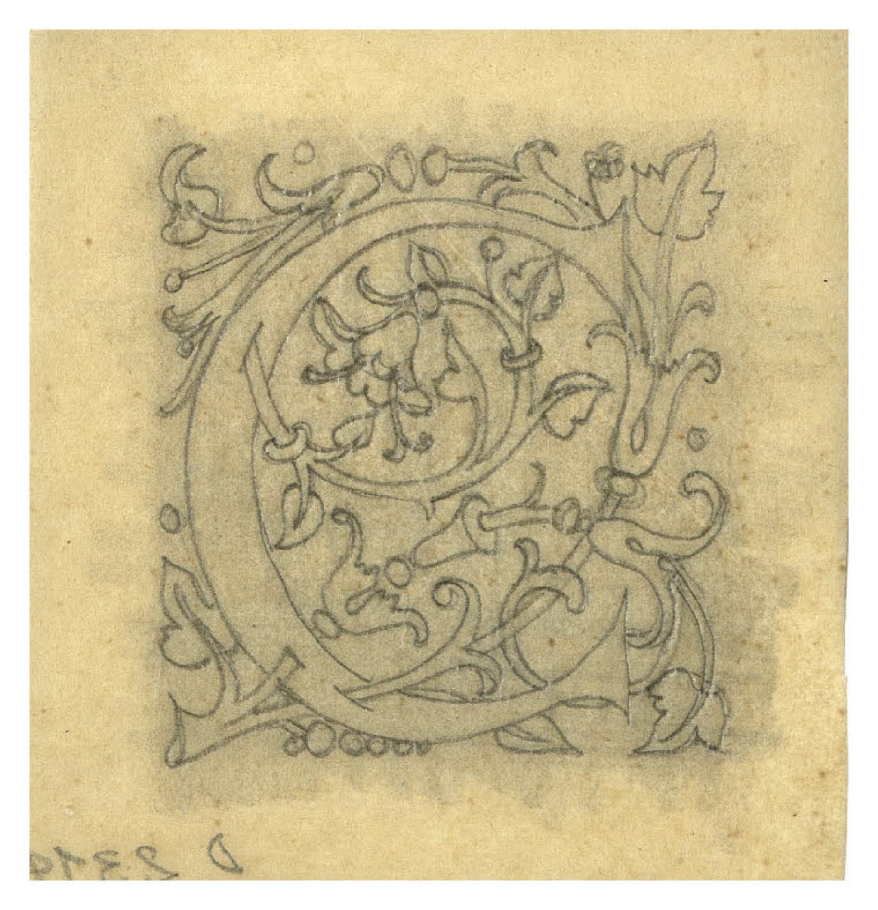 Lettera C. Disegno preparatorio per iniziale decorata (disegno) di Disertori, Benvenuto Maria (prima metà sec. XX)