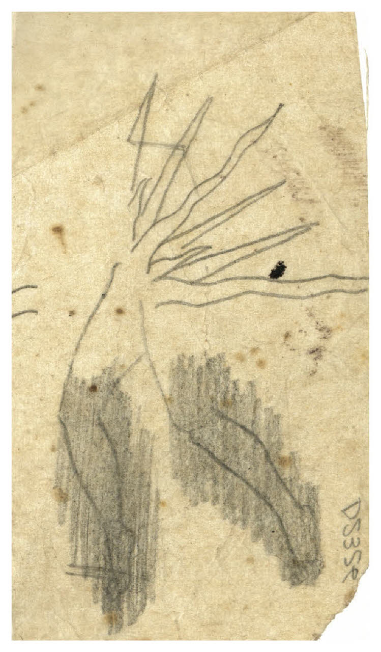 Schizzo con figura danzante (disegno) di Disertori, Benvenuto Maria (prima metà sec. XX)