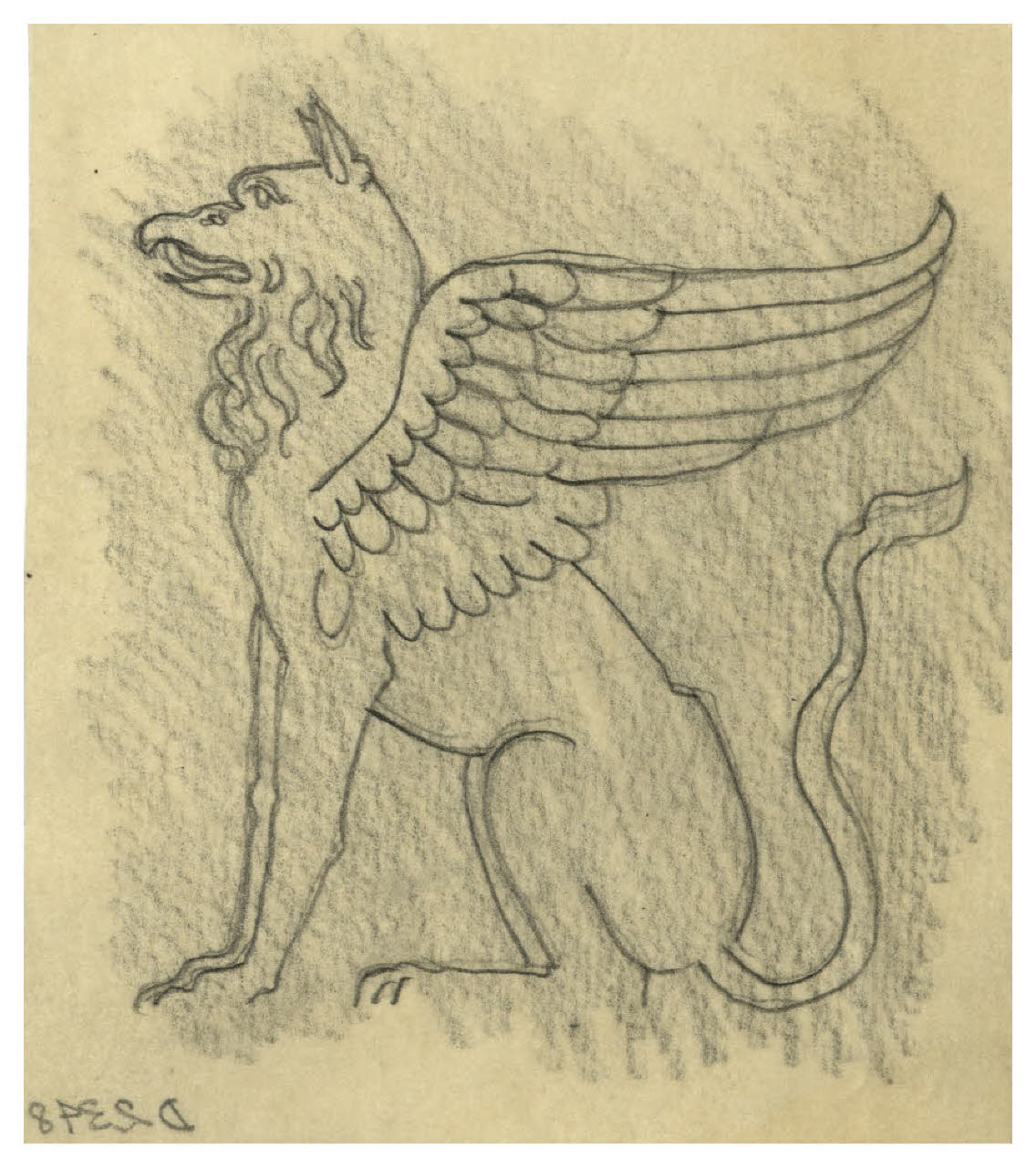 Grifone. Studio per illustrazione (disegno) di Disertori, Benvenuto Maria (prima metà sec. XX)