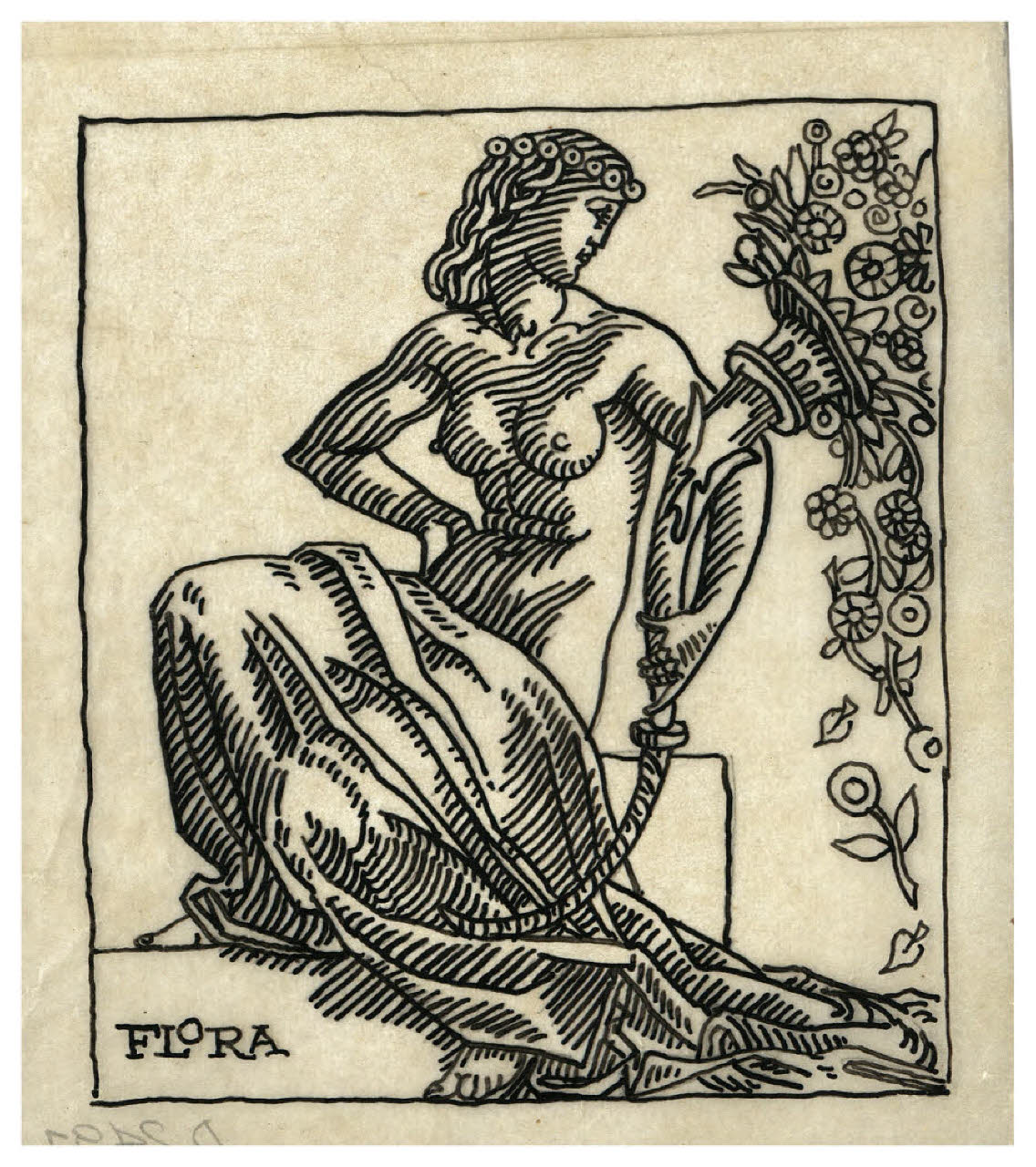 Flora (disegno preparatorio per la xilografia) (disegno) di Disertori, Benvenuto Maria (sec. XX)