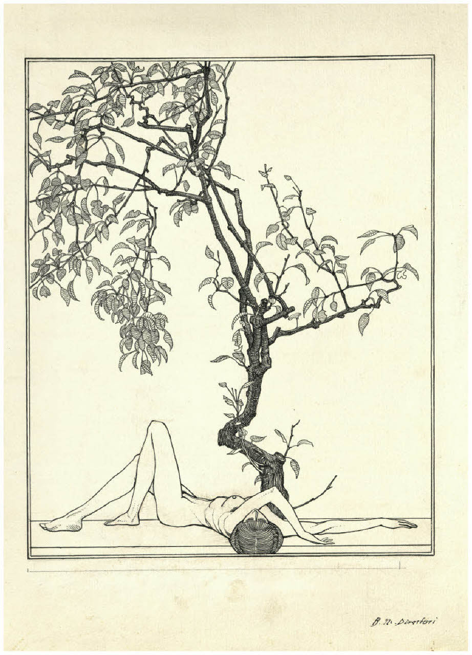 Il pero (disegno preparatorio per l'acquaforte) (disegno) di Disertori, Benvenuto Maria (prima metà sec. XX)