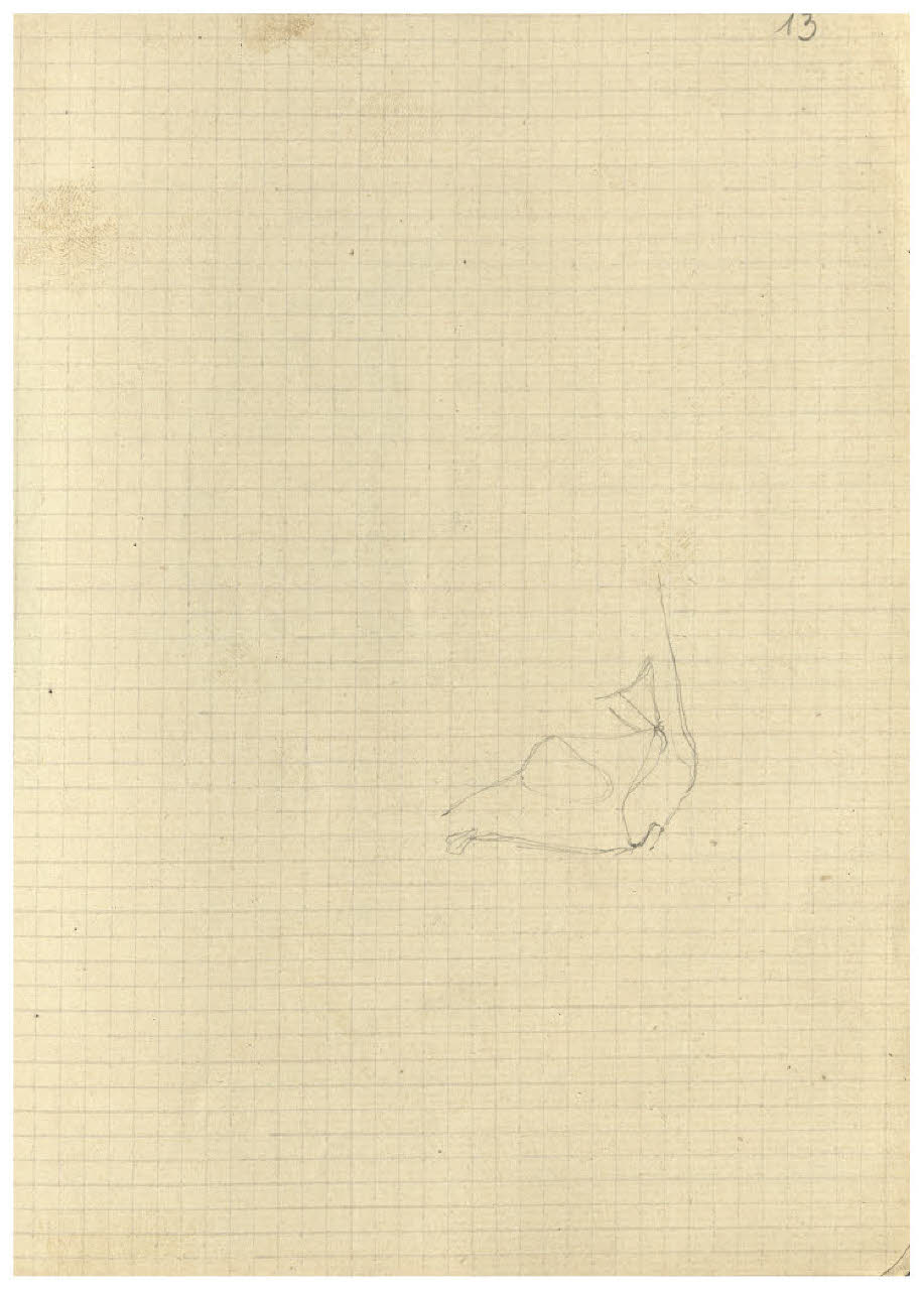 Studio di un bovino, particolare (disegno) di Disertori, Benvenuto Maria (sec. XX)