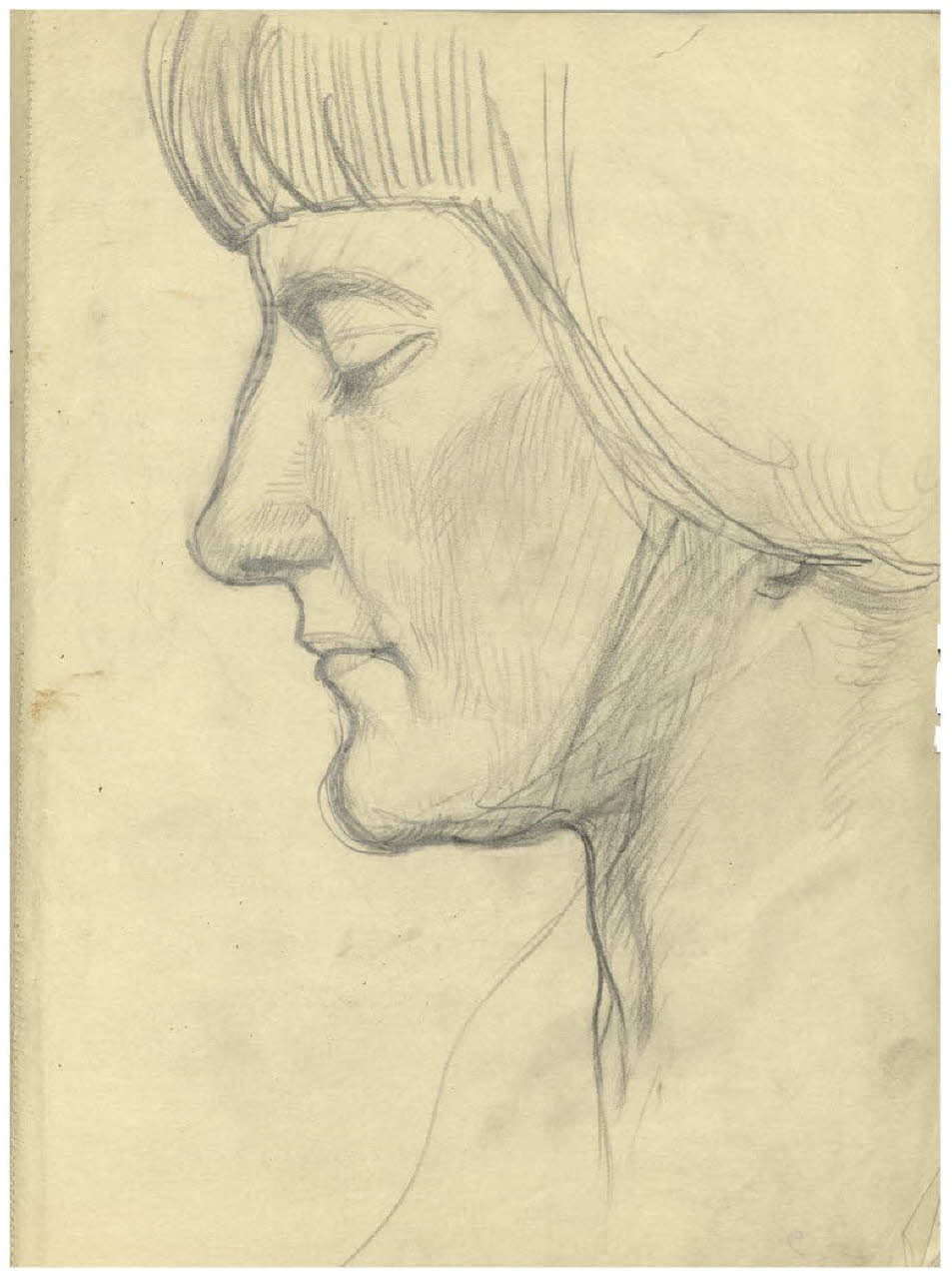 Volto femminile di profilo (disegno) di Disertori, Benvenuto Maria (sec. XX)