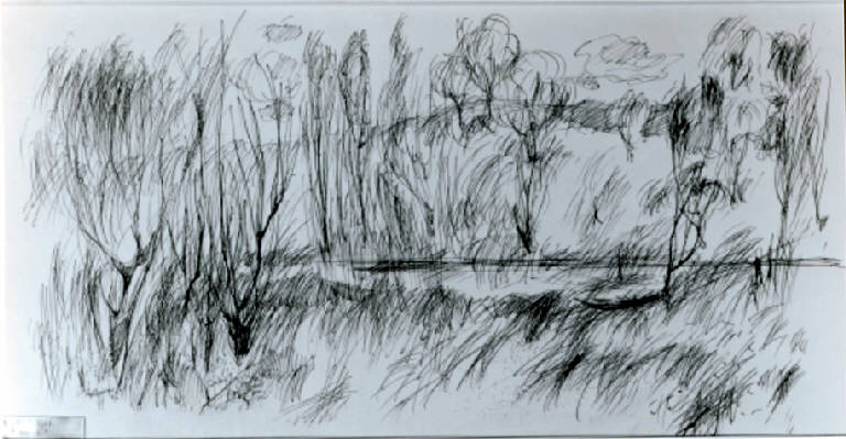 Bosco, Paesaggio con alberi (disegno) di Ravasi Bruno (metà sec. XX)