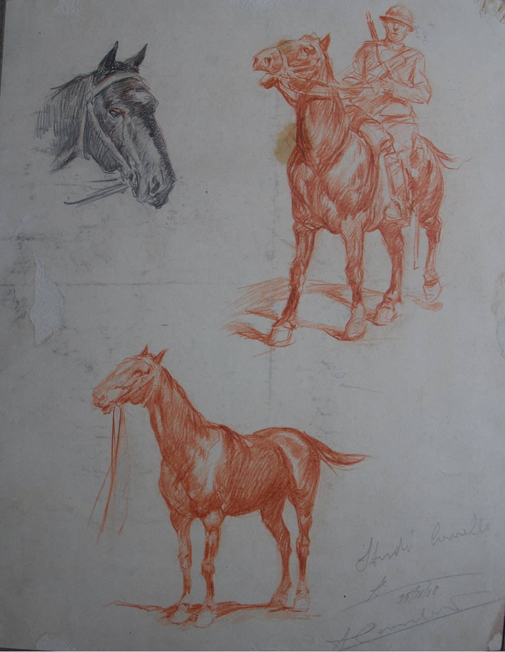 Studi cavalli (disegno) di Lombardi, Ambrogio (sec. XX)