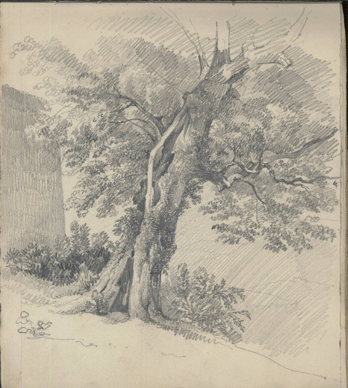 disegno di Bisi, Luigi (1837 - 1886)