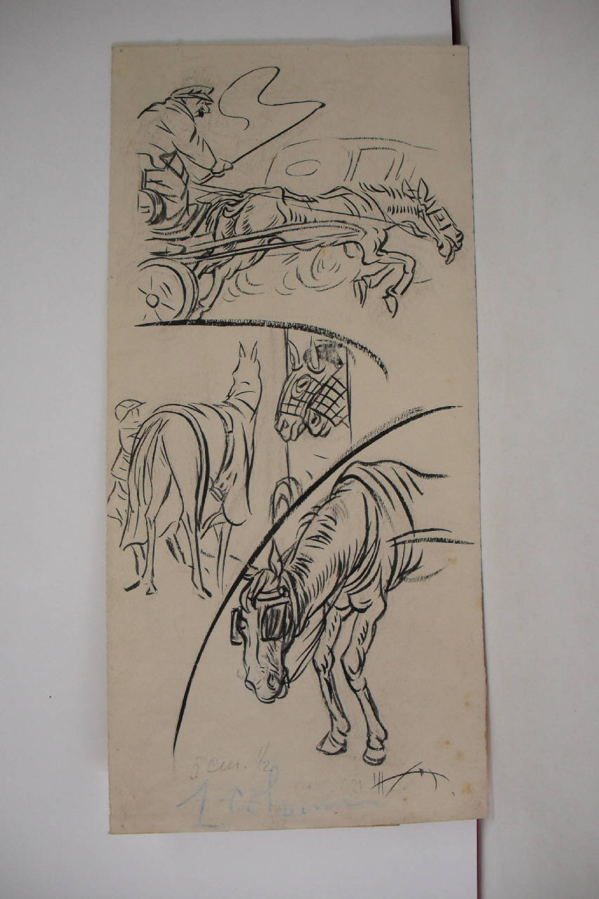 INCORAGGIAMENTO DELLE RAZZE EQUINE. (disegno) di Mazza, Aldo (1921/05/29 - )