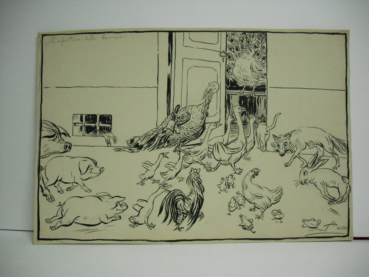 L'APERTURA DELLA CAMERA. (disegno) di Mazza, Aldo (1910/11/27 - )