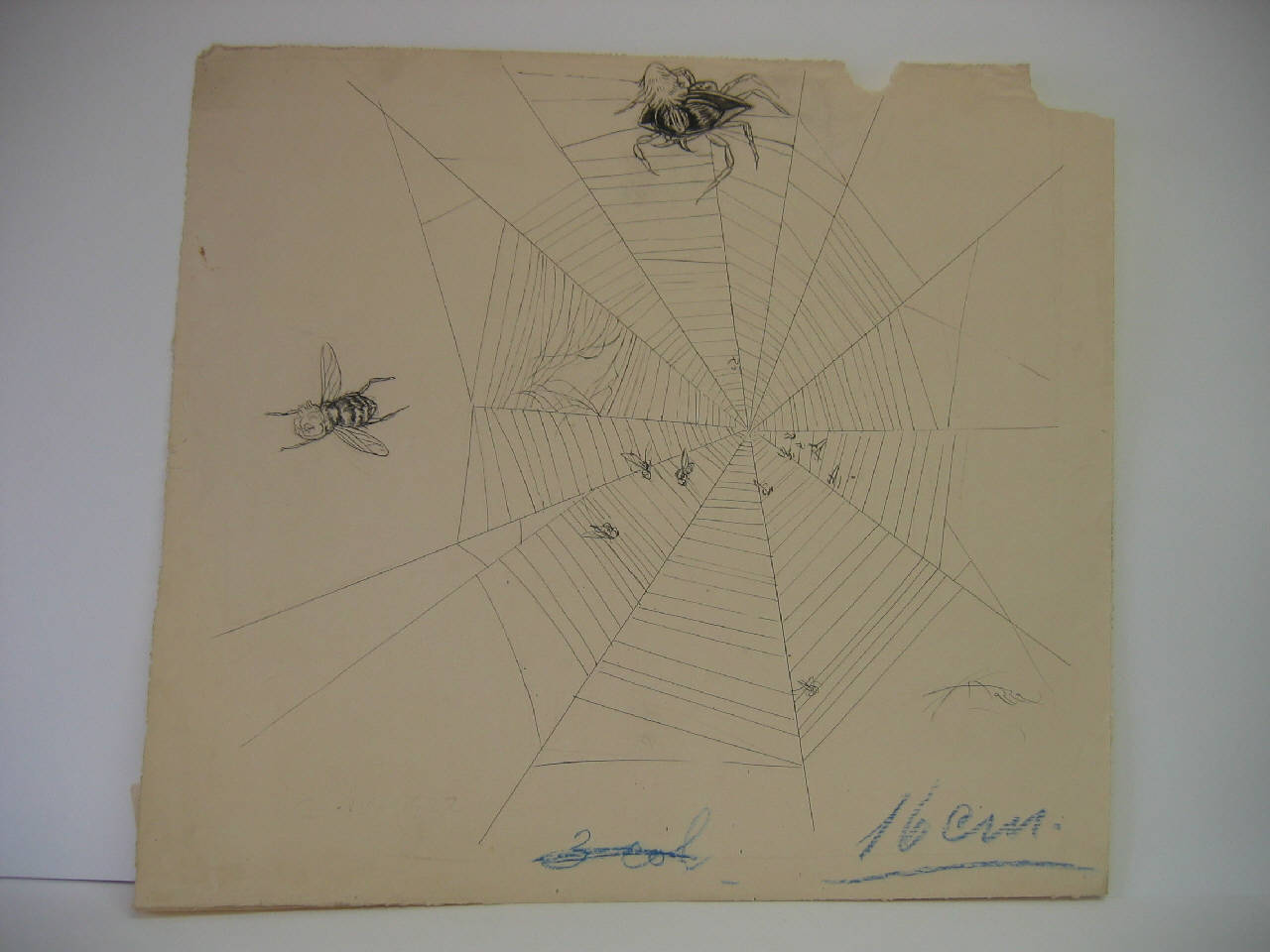 "LA GIUSTIZIA DE STO MOND …" (disegno) di Mazza, Aldo (1922/04/02 - )