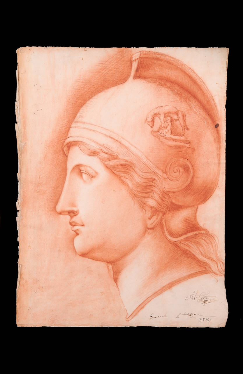 Testa di Minerva (disegno) di Salezia Emanuele (fine sec. XVIII)
