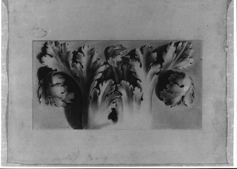 STUDIO DI ORNATO (disegno) (ultimo quarto sec. XIX)