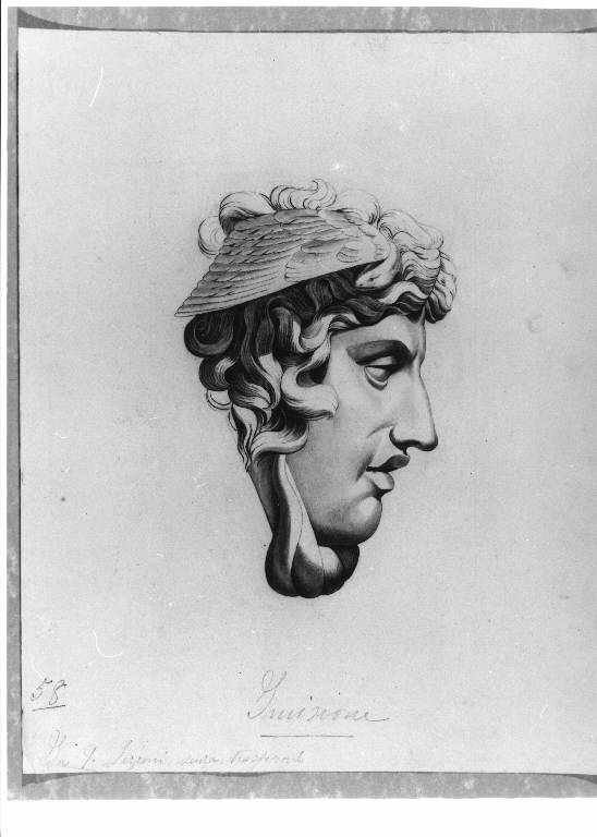 TESTA DI MEDUSA (disegno) (ultimo quarto sec. XIX)